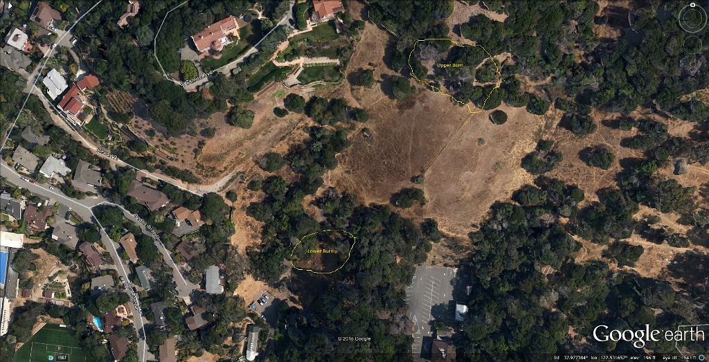 Approximate Burn Aareas-1